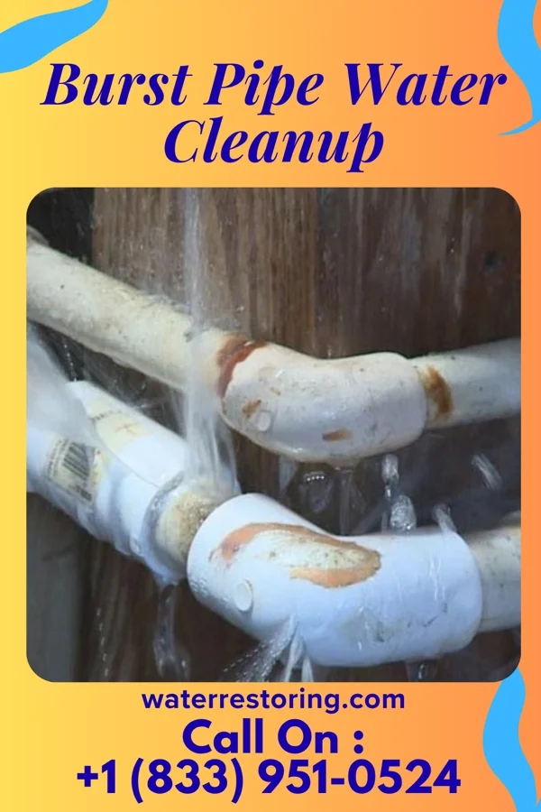 Burst Pipe Water Cleanup in Lacomb, OR