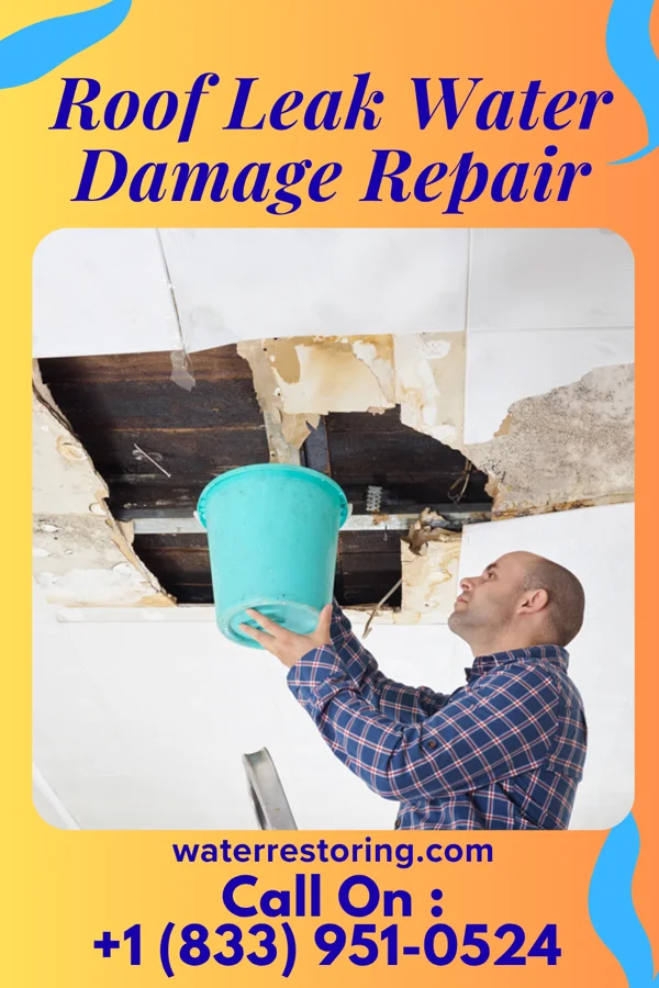 Roof Leak Water Damage Repair in Lacomb, OR